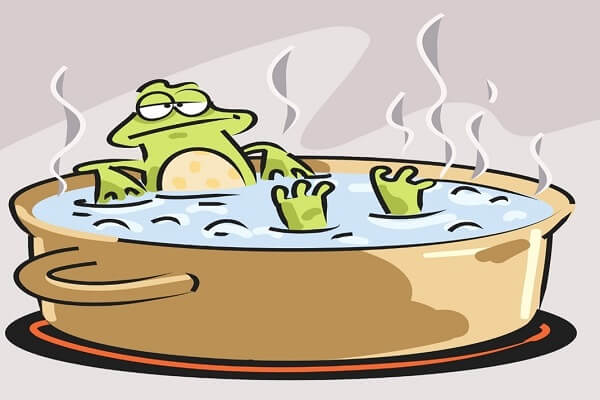 Câu chuyện con ếch luộc | Atabook.com